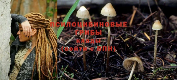 mdpv Волоколамск